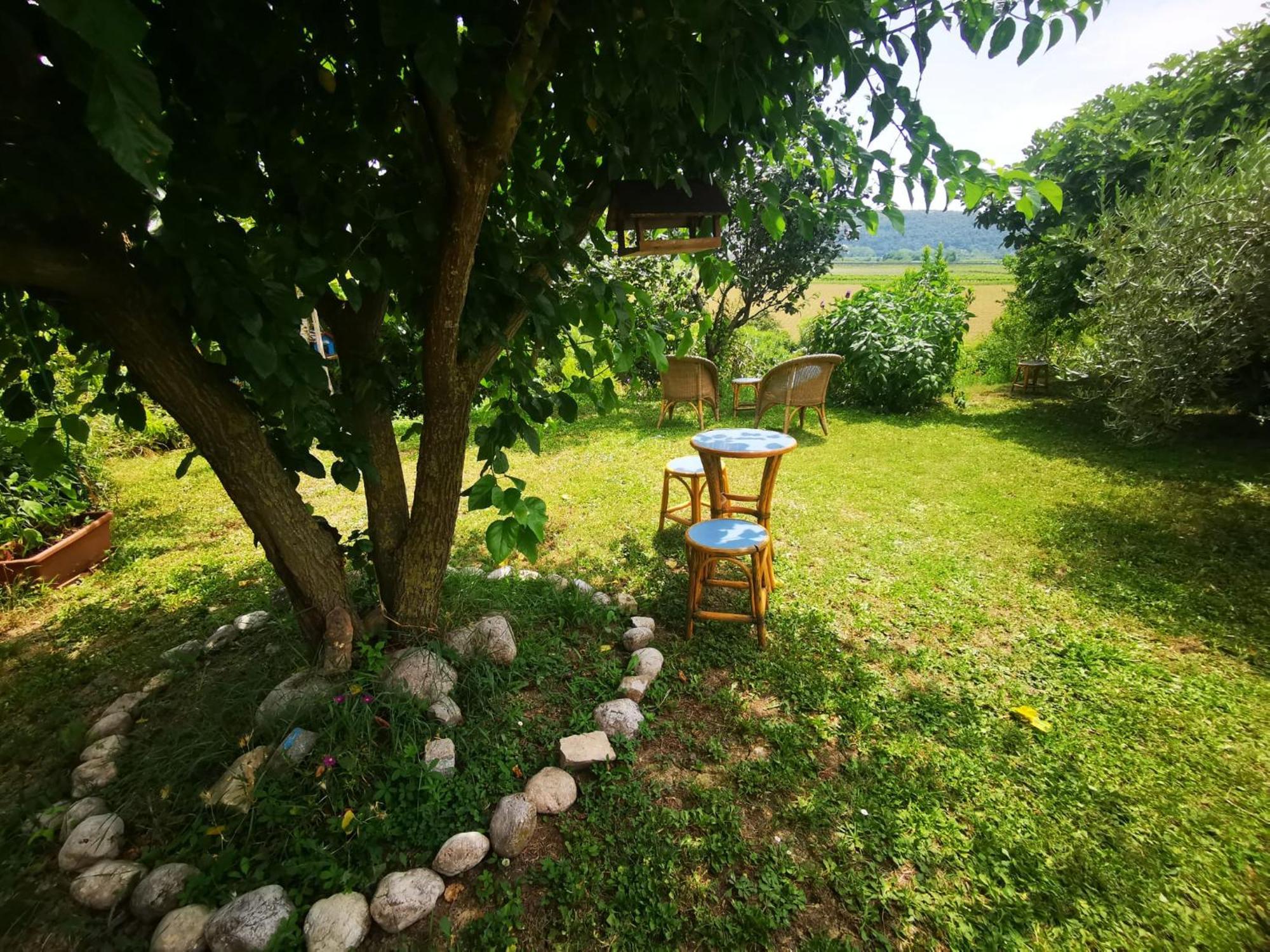 The Blue House Hotel Sečovlje Kültér fotó